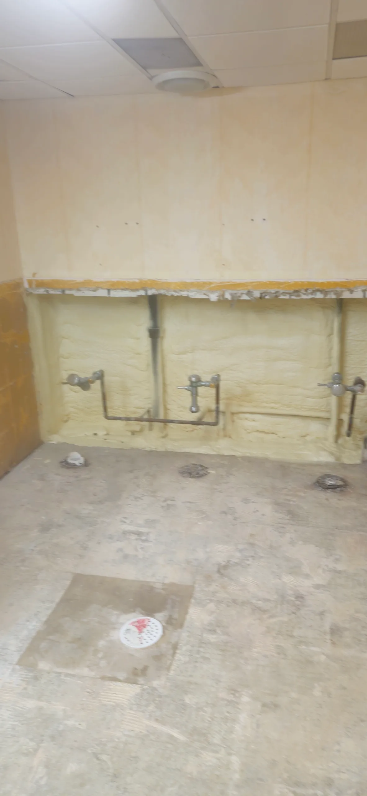 Basement wall with plumbing pipes and floor drain